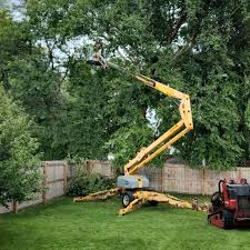 Best Emergency Tree Removal  in Worthgton, IN