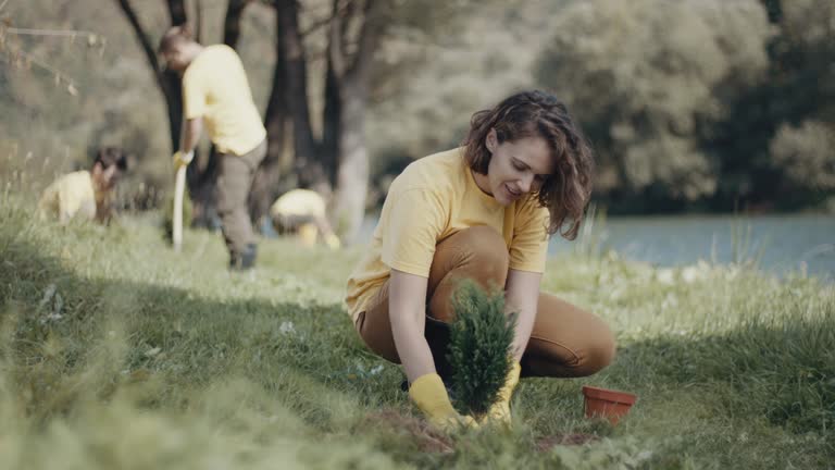 Best Lawn Maintenance Plans  in Worthgton, IN