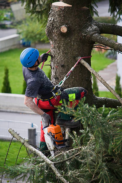 Best Aeration Services  in Worthgton, IN