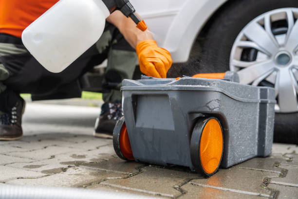 Best Stump Grinding and Removal  in Worthgton, IN